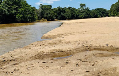 Water Source Development –  Riverbank Filtration Feasibility Study